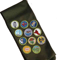 Sash Example